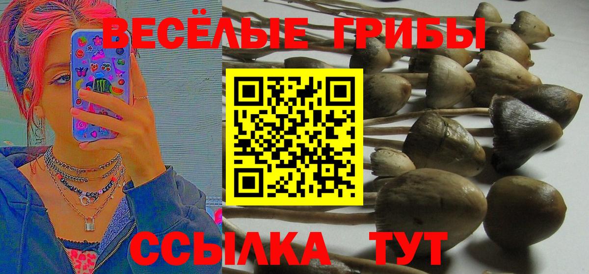 Ирбит  Псилоцибиновые грибы мухоморы  Псилоцибиновые грибы ЛСД  Вход с VPN 